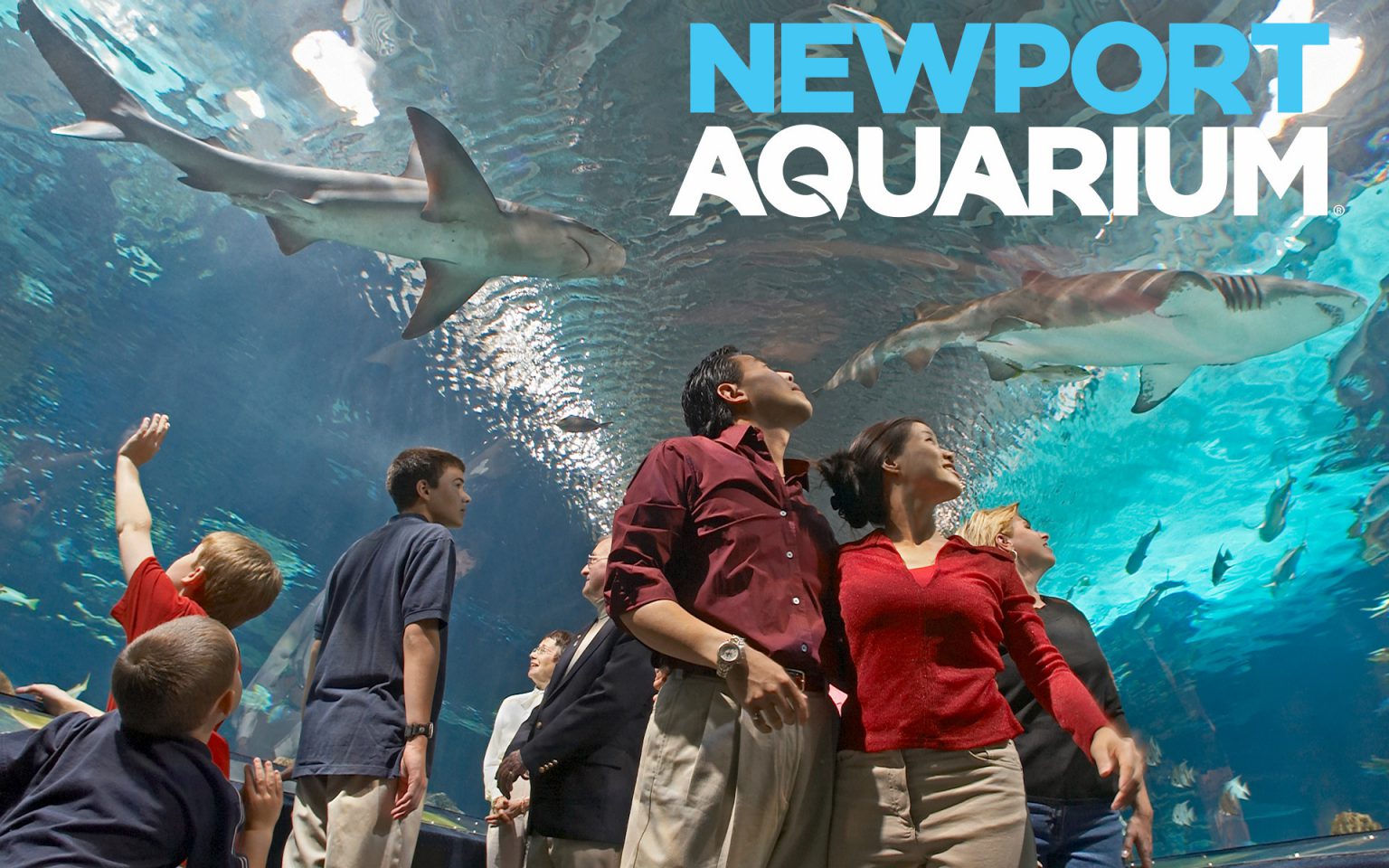 Newport Aquarium Gallatin County Tourism • Gallatin County, Kentucky